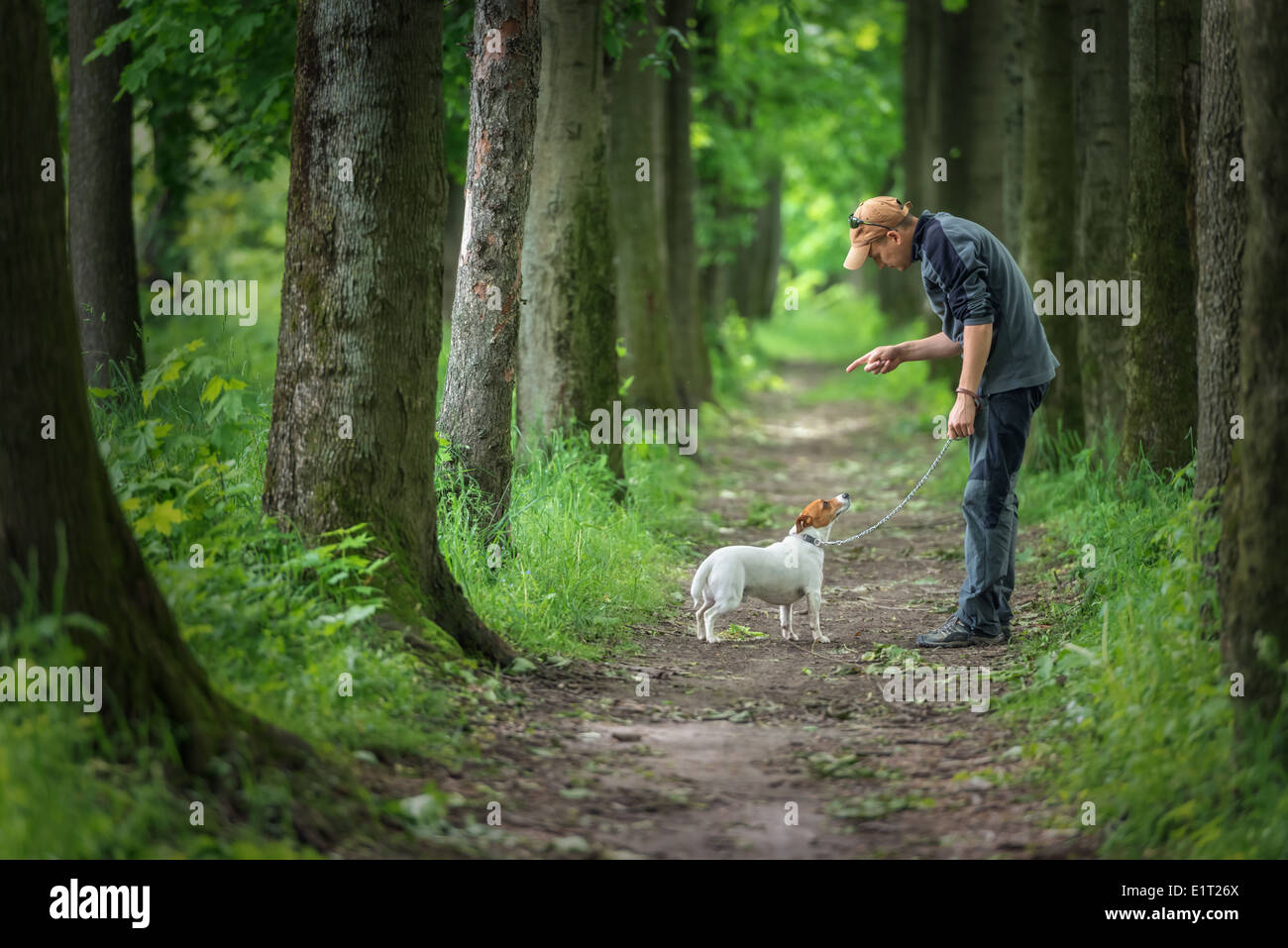 Mensch und Hund im Park spazieren Stockfoto