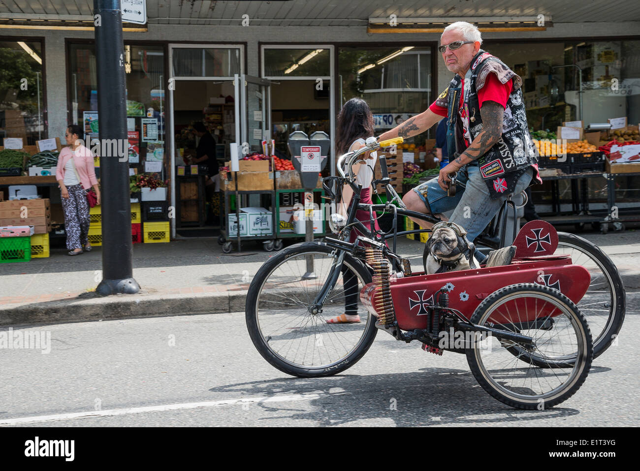 Mann auf dem Fahrrad (Multi-Media Künstler Mad Dog) mit Punk-Beiwagen mit Maschinengewehr und Helmetted Hund, Stockfoto