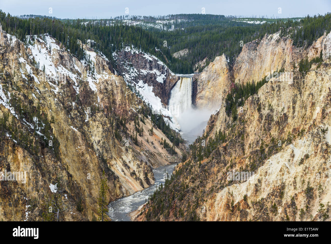 Der Lower Falls im Grand Canyon des Yellowstone-Nationalpark, Wyoming, USA. Stockfoto