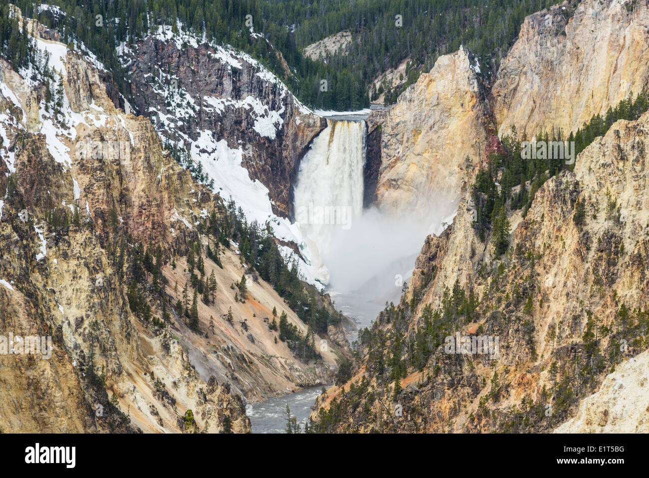 Der Lower Falls im Grand Canyon of the Yellowstone Nationalpark, Wyoming, USA. Stockfoto