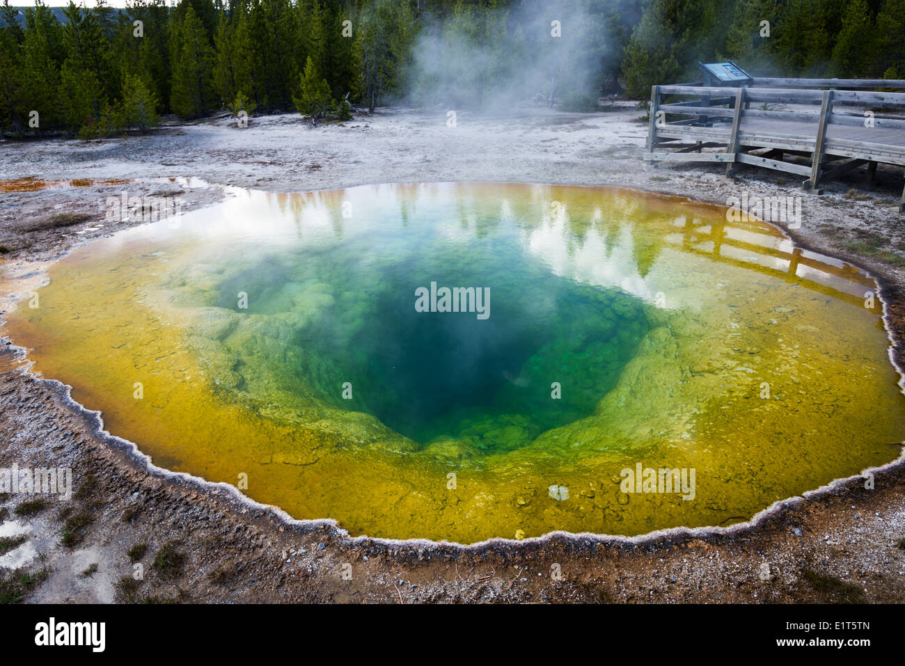 Bunte Gewässer von der Morning Glory-Sprudel. Yellowstone-Nationalpark, Wyoming, USA. Stockfoto