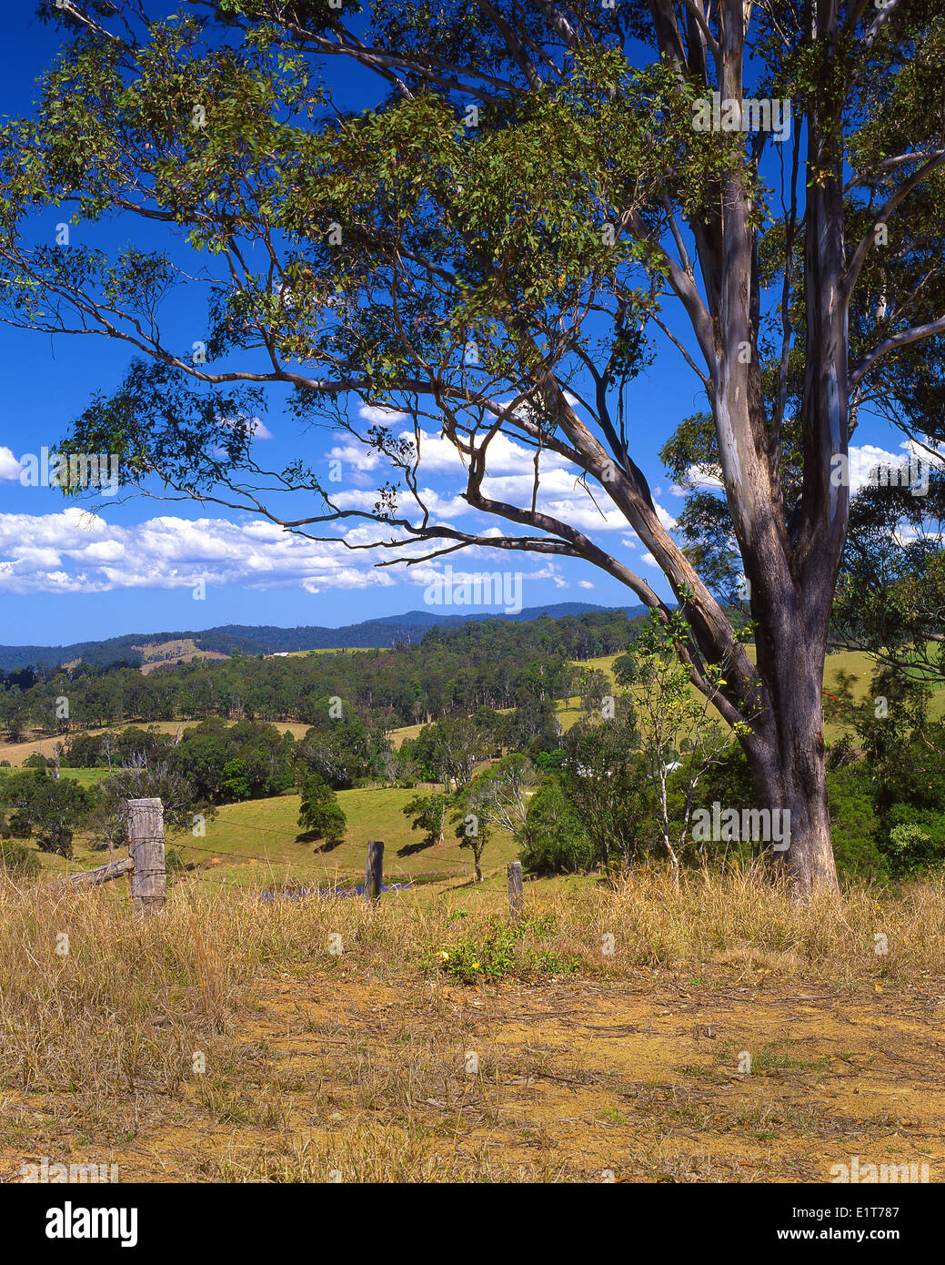 Australien: Gloucester Bereich, NSW Stockfoto