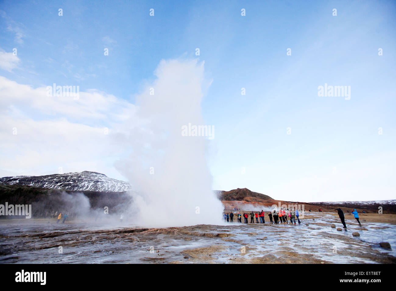 Strokkur Geysir bricht bei geothermisch aktiven Tal Haukadalur in Island. Stockfoto