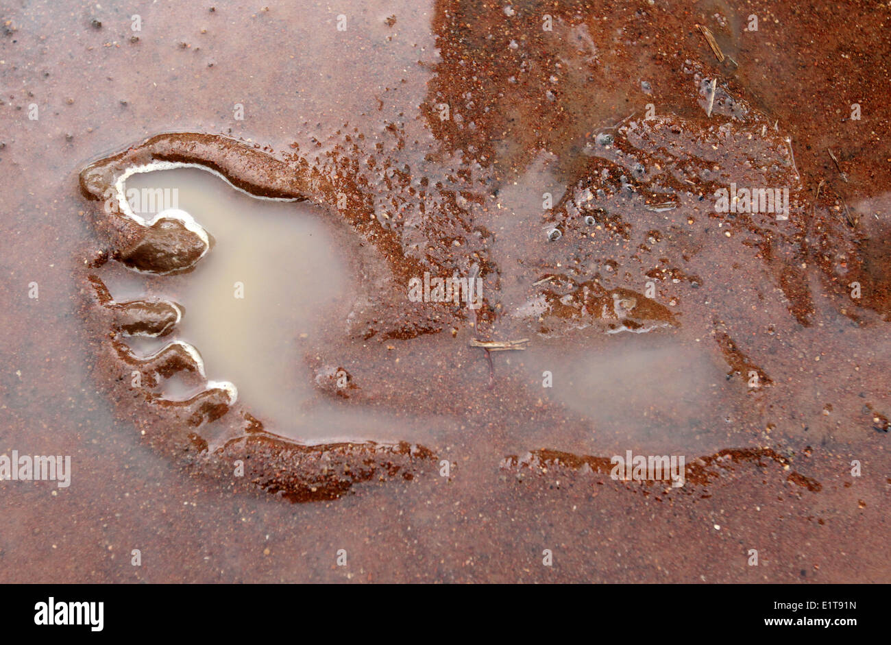 Eine Fußdruck in den Boden nach starken Regenfällen im Stadtteil Lira in Norduganda. Stockfoto
