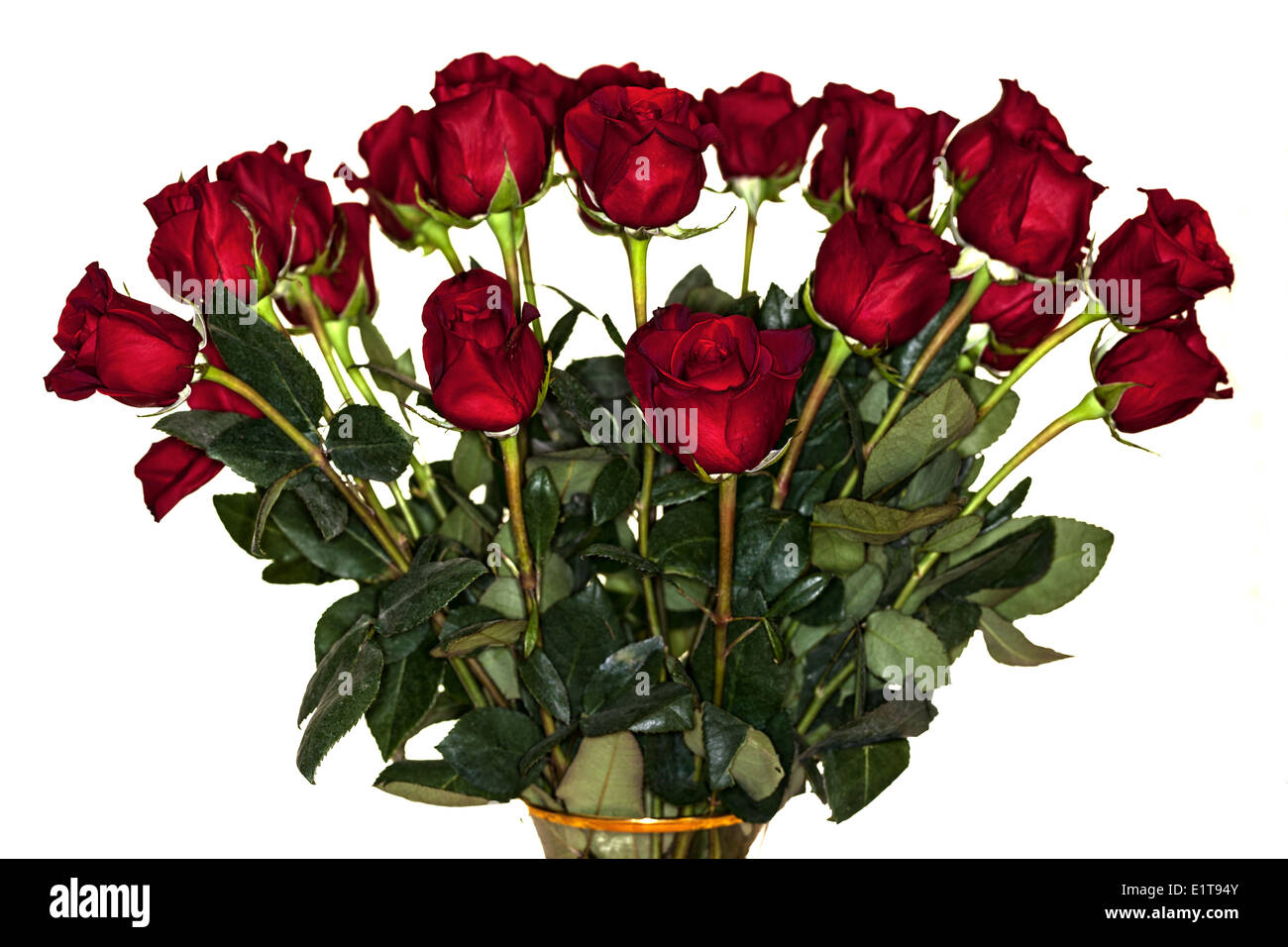 Ein Strauß roter Rosen. Stockfoto
