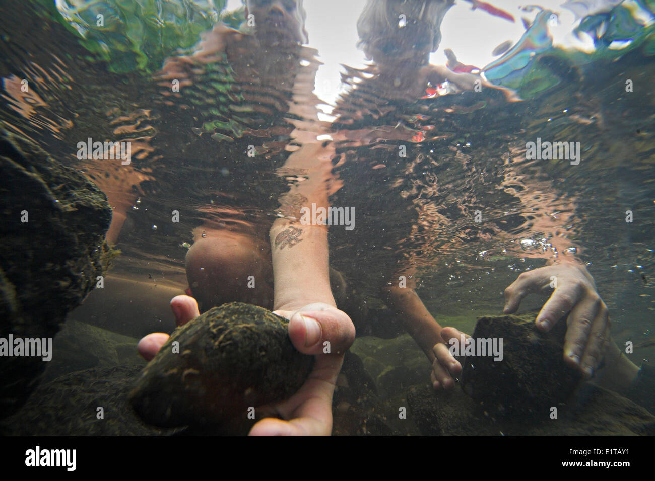 Kinder bauen einen Damm in einem Bach Stockfoto
