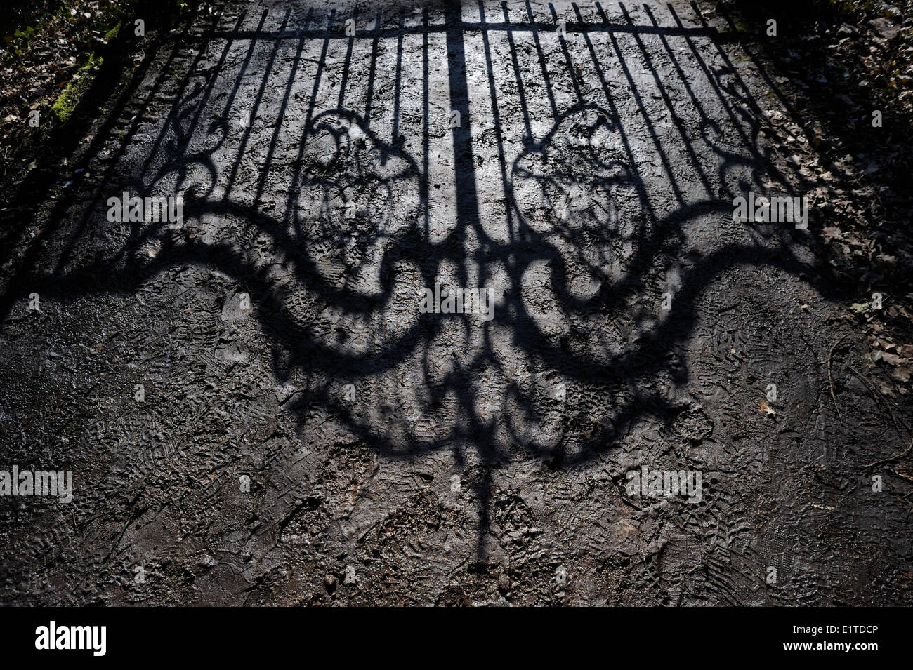 Schatten der Eingang-Zaun von der Wildenborch Stockfoto