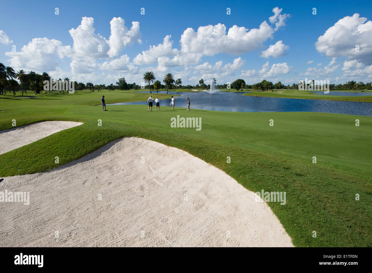 Blauer Monster Golfplatz Fotos Und Bildmaterial In Hoher Aufl sung 