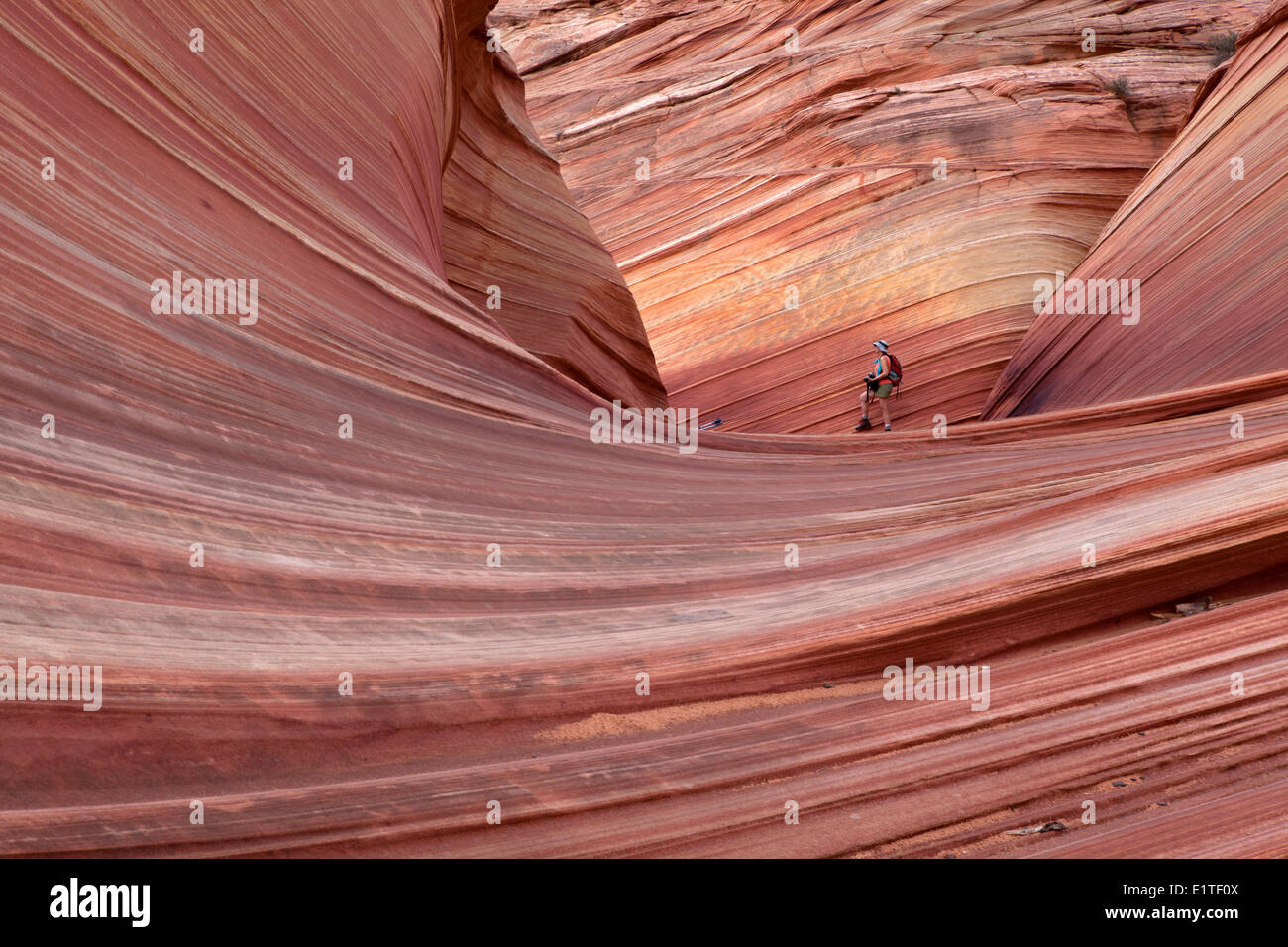 Wanderer in der Welle, North Coyote Buttes, Paria Canyon-Vermilion Cliffs Wilderness Bereich, Utah, Deutschland Stockfoto