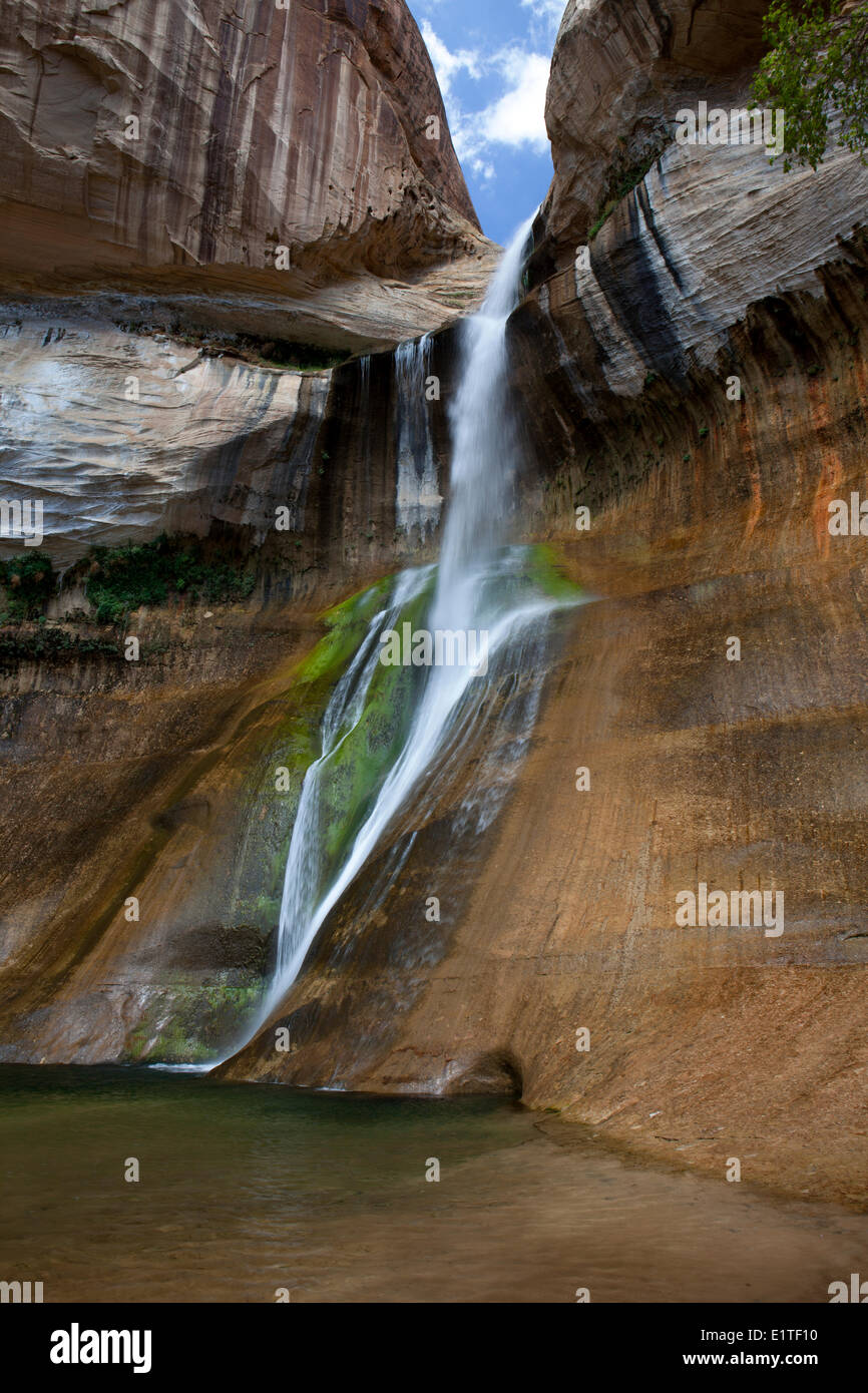 Calf Creek Falls, Grand Staircase-Escalante National Monument, Utah, Vereinigte Staaten von Amerika Stockfoto