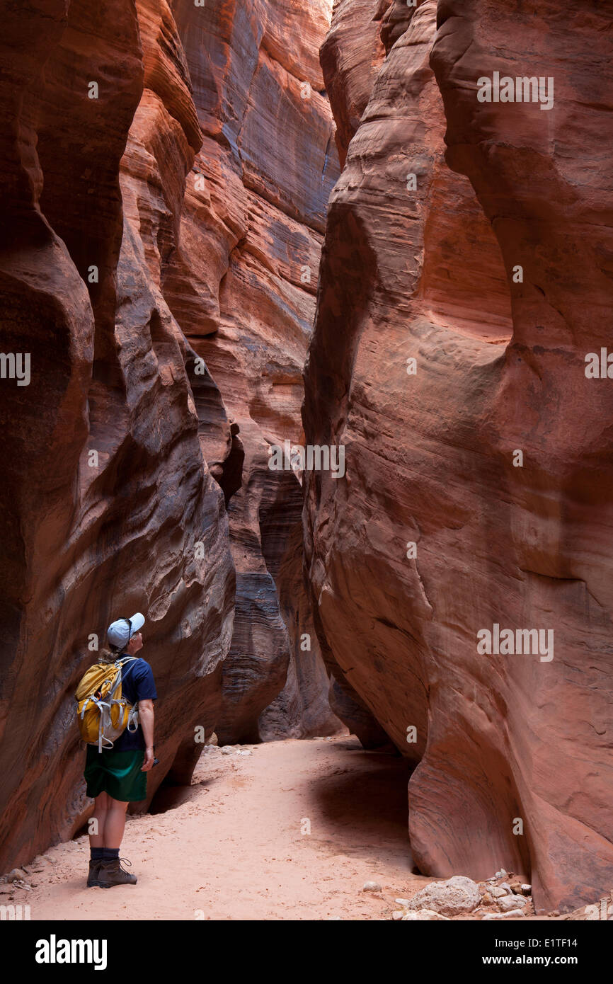 Wanderer in Buckskin Gulch, Paria Canyon-Vermilion Cliffs Wilderness Area, Utah, Vereinigte Staaten Stockfoto
