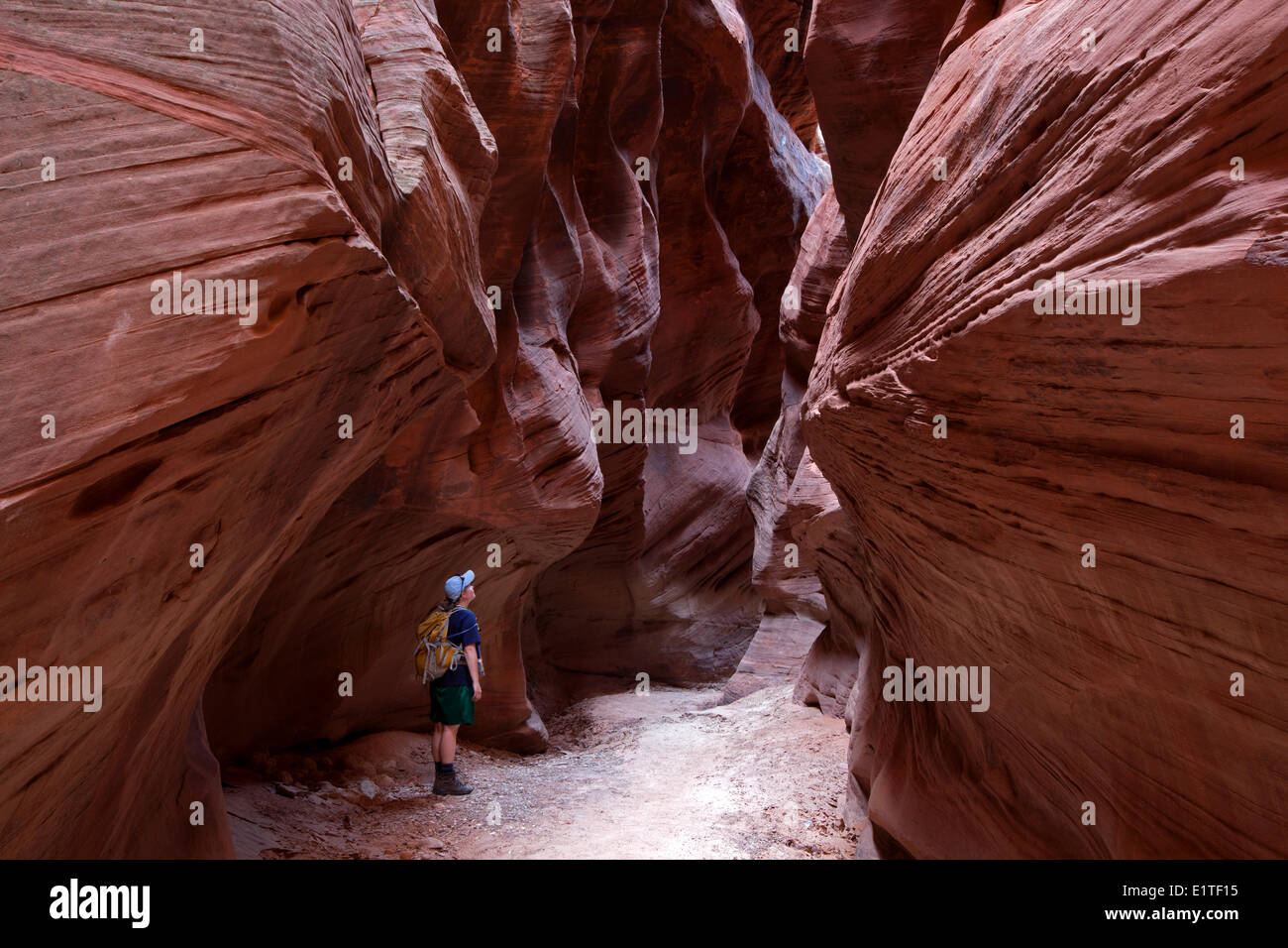 Wanderer in Buckskin Gulch, Paria Canyon-Vermilion Cliffs Wilderness Area, Utah, Vereinigte Staaten Stockfoto