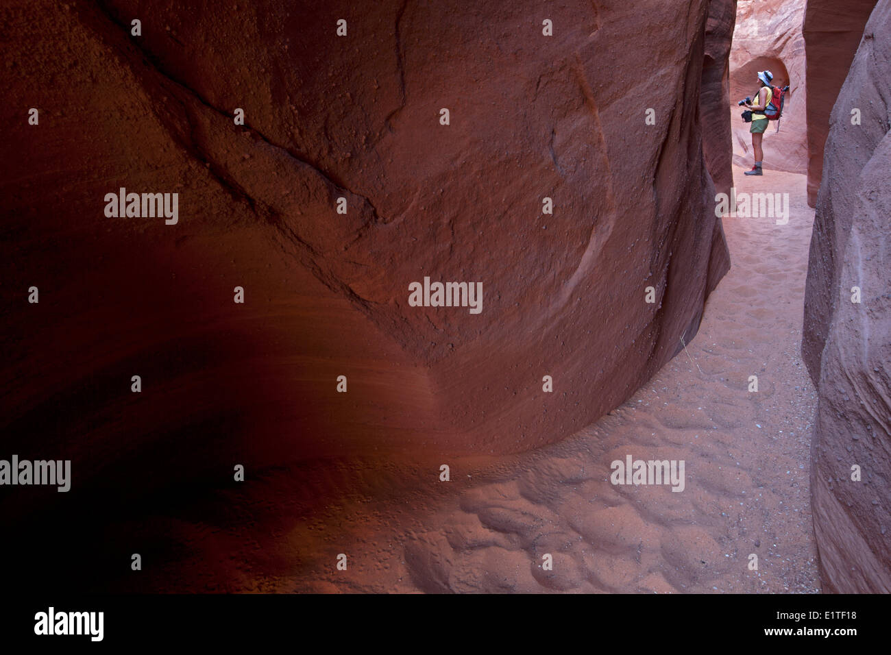 Wanderer in Spooky Canyon, Hole-in-the-Rock Road, Grand Staircase-Escalante National Monument, Utah, Vereinigte Staaten von Amerika Stockfoto
