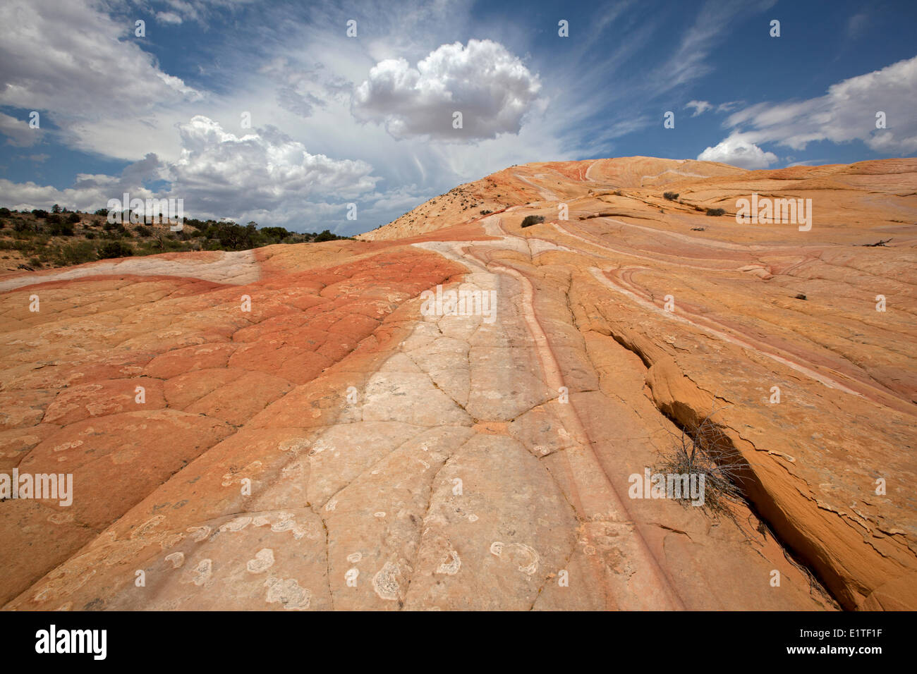 Gelber Rock, Grand Staircase-Escalante National Monument, Utah, Vereinigte Staaten von Amerika Stockfoto