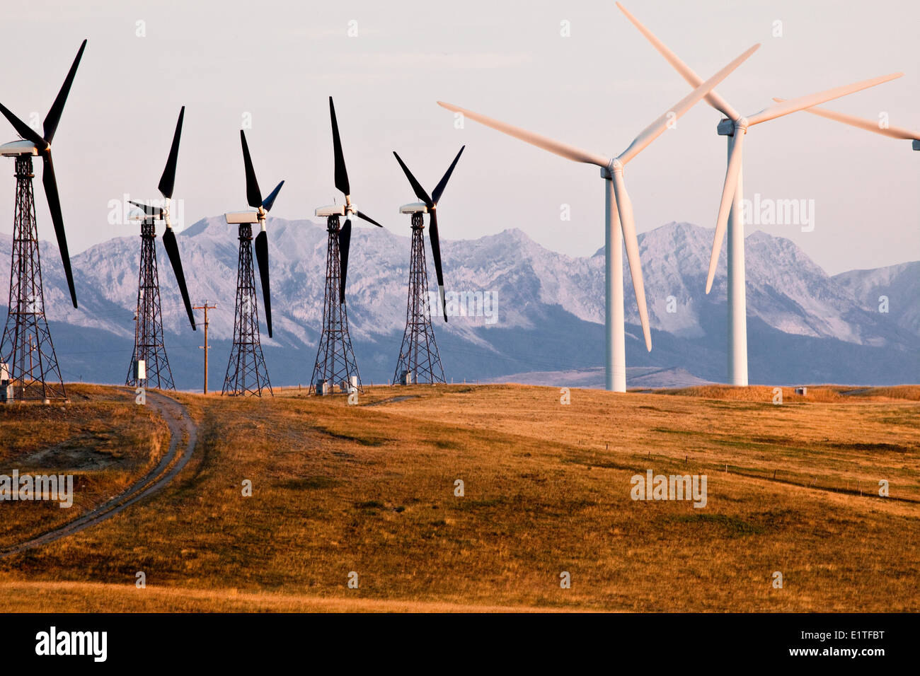 Stromerzeugenden Windmühlen in der Nähe von Pincher Creek, Alberta, Kanada. Stockfoto