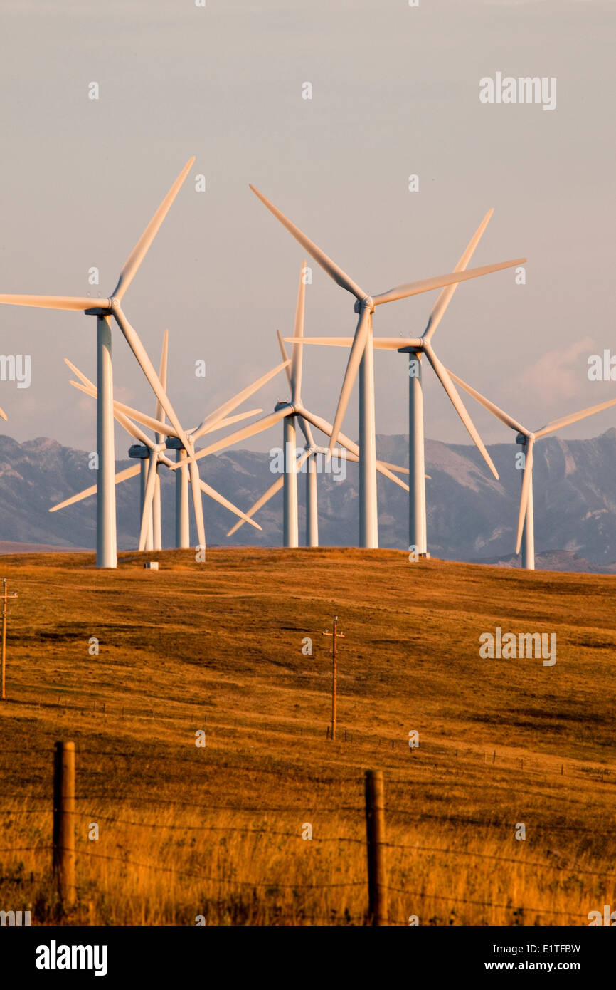 Stromerzeugenden Windmühlen in der Nähe von Pincher Creek, Alberta, Kanada. Stockfoto