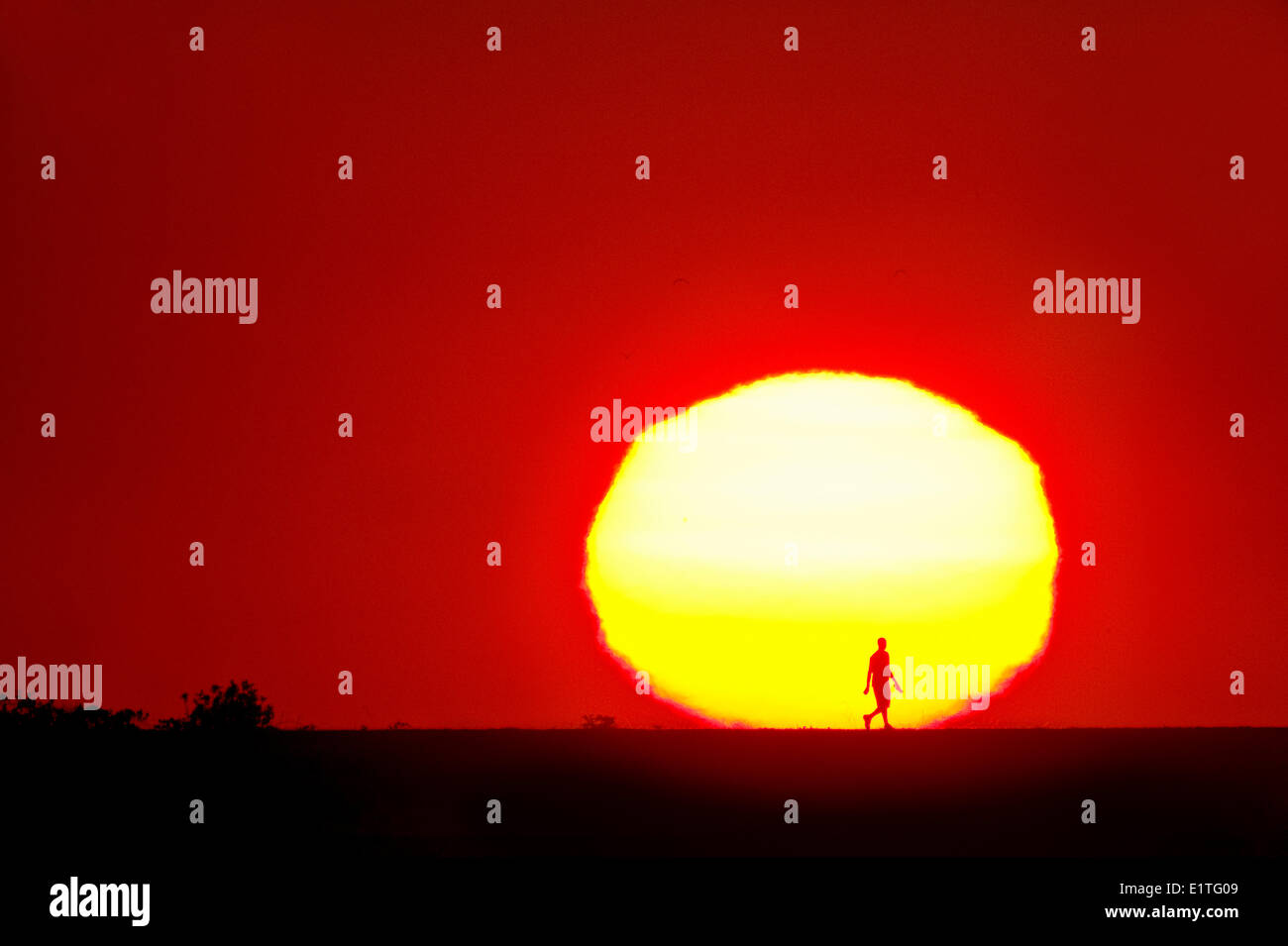 Mann ging bei Sonnenuntergang. Iona Insel Regionalpark, Richmond, Britisch-Kolumbien, Kanada. Stockfoto