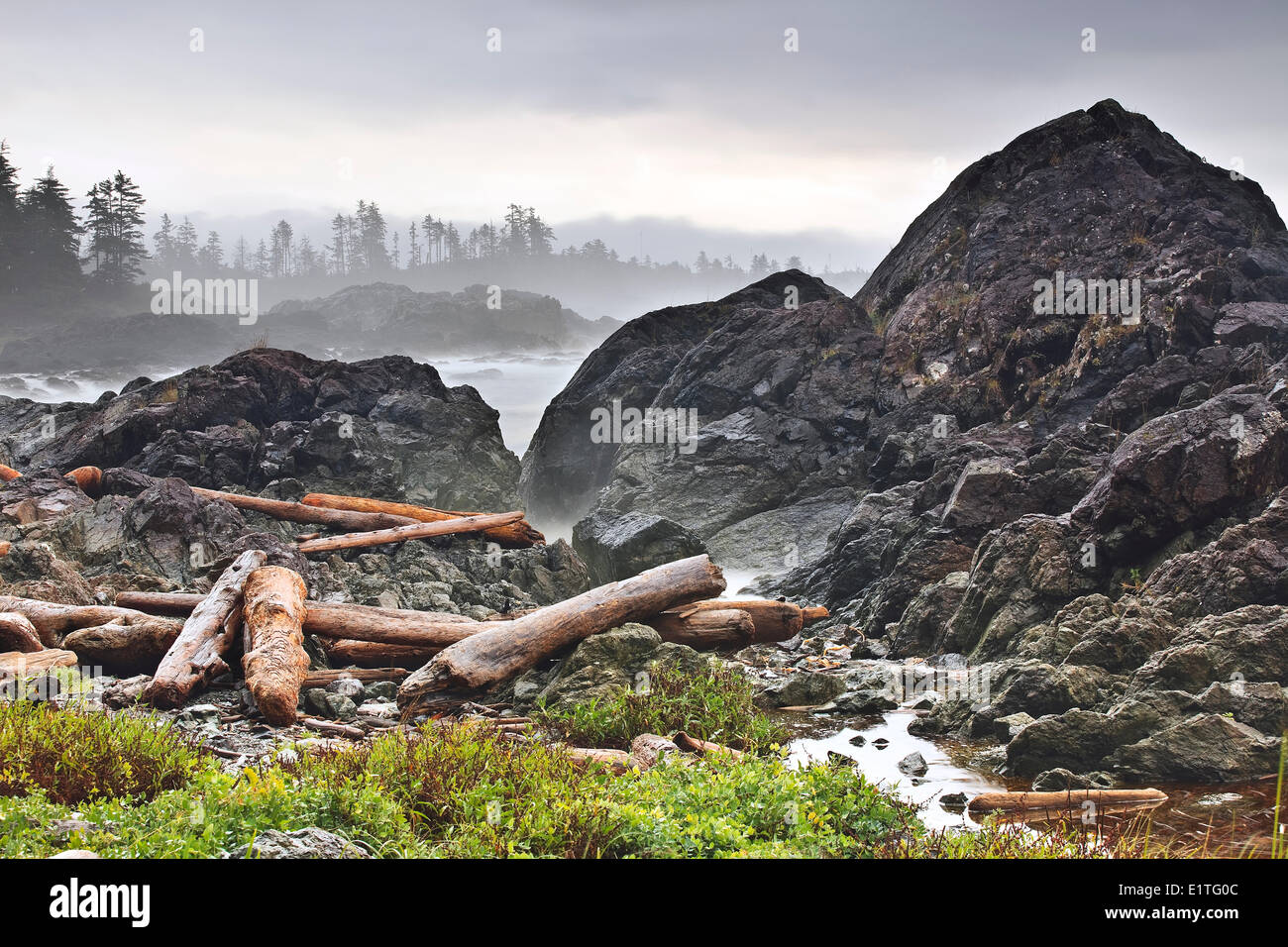 Treibholz meldet sich an der Pazifikküste, Wild Pacific Trail, Vancouver Island, British Columbia, Kanada Stockfoto