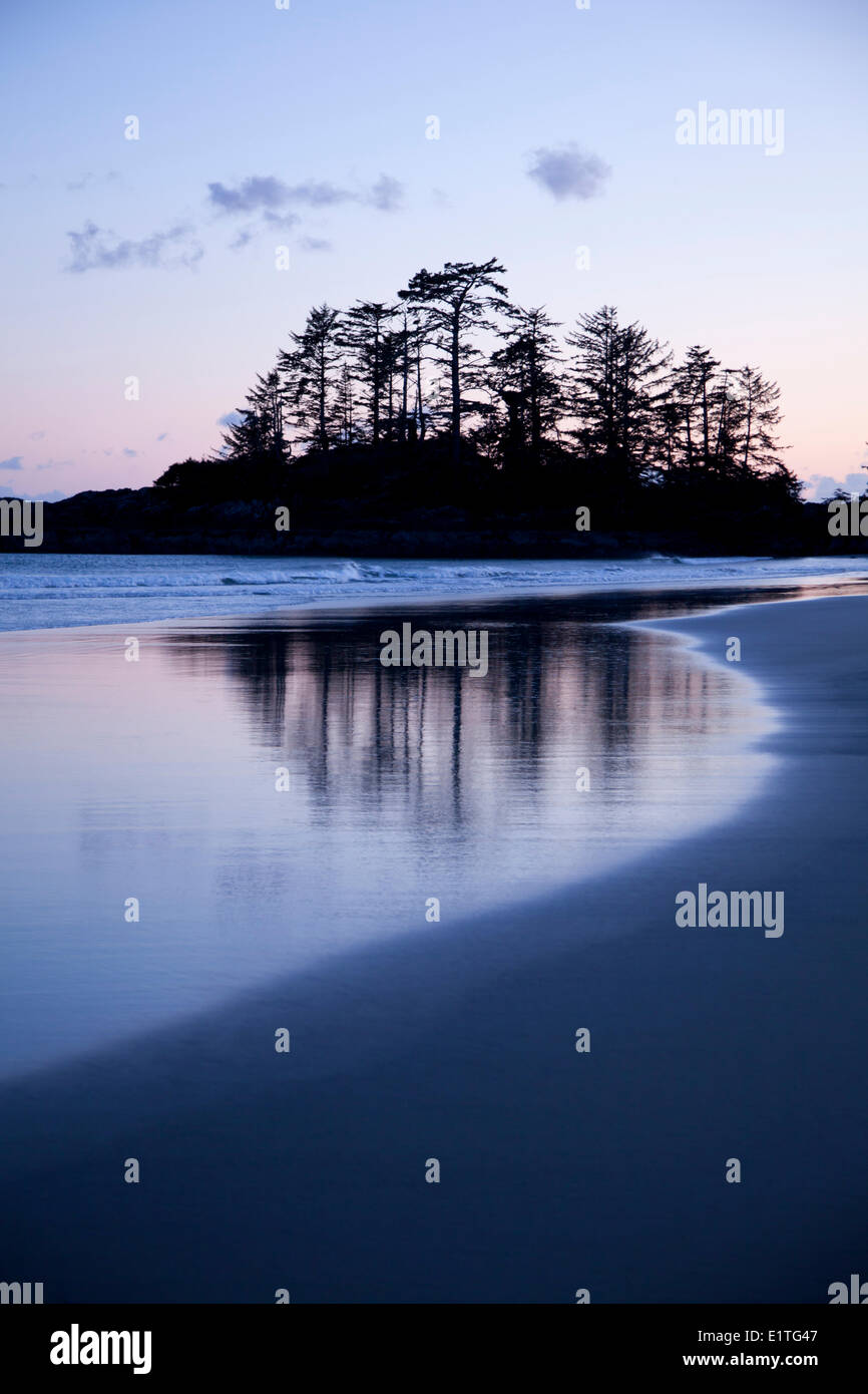 Baum-Reflexionen über Chestermans Beach Franks Insel in der Nähe von Tofino auf Vancouver Island in der Clayoquot in British Columbia Kanada Stockfoto