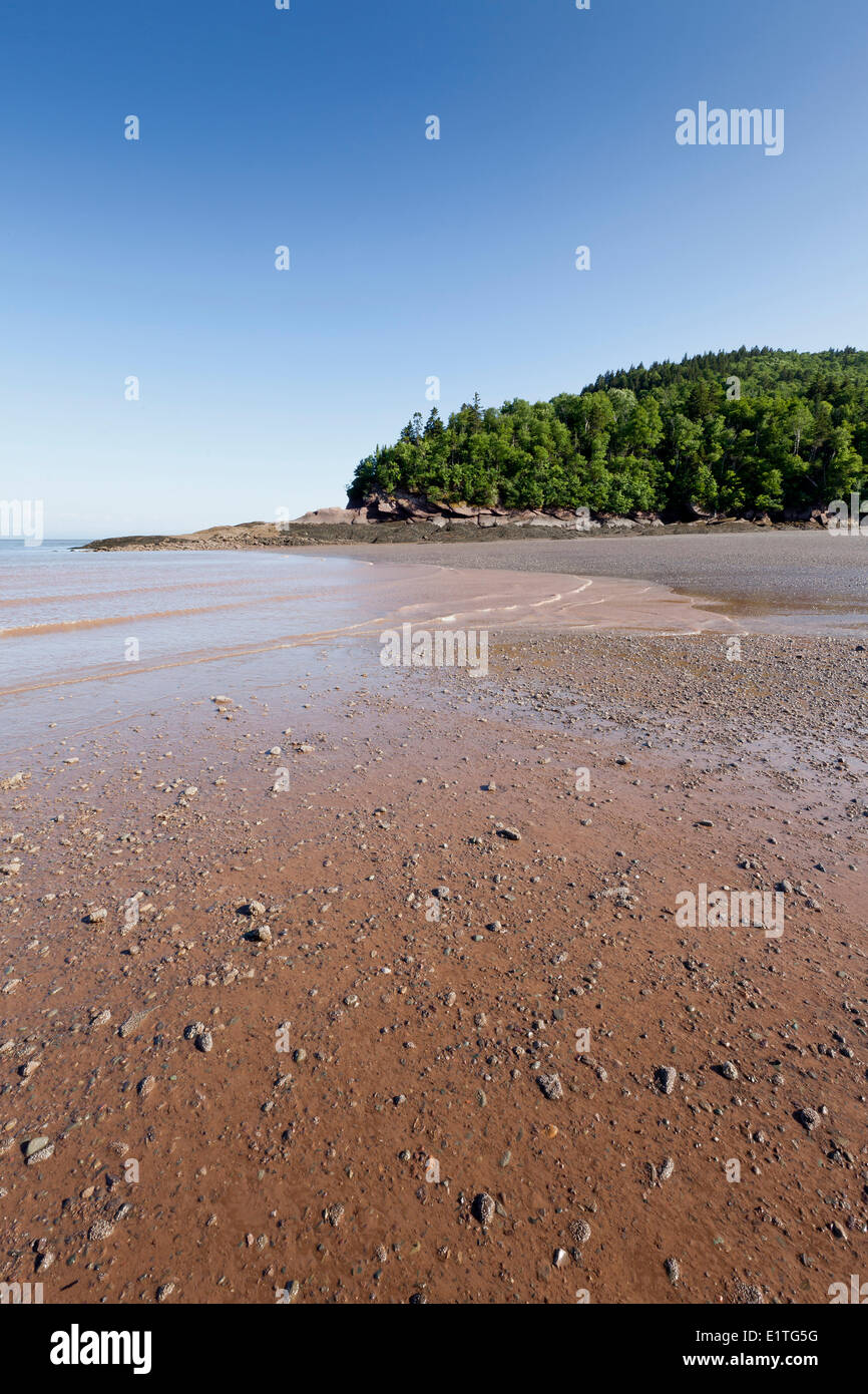Hering cove beach bei ebbe im fundy national park Fotos und Bildmaterial in hoher Auflösung