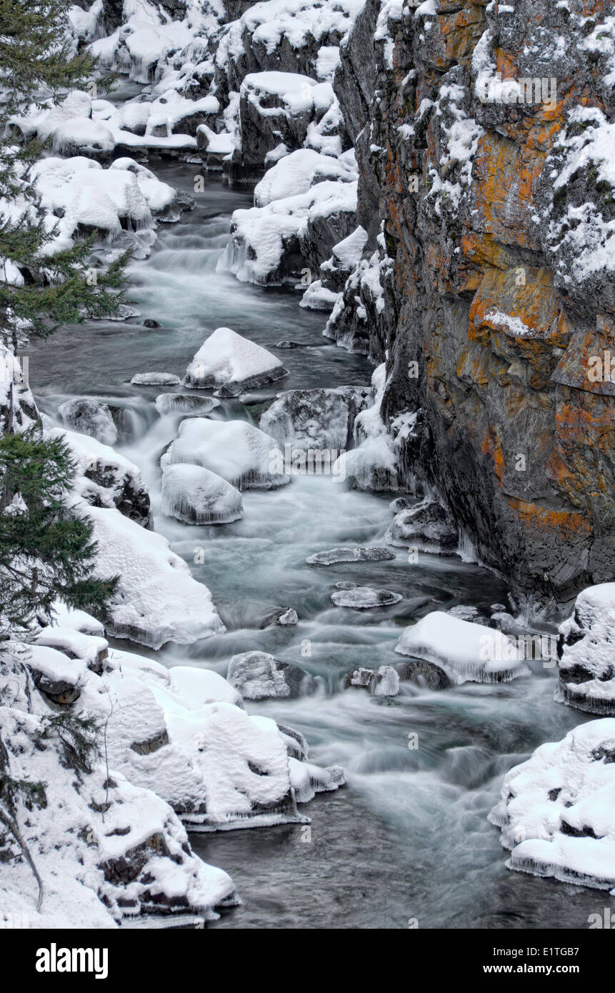 Creek Canyon in der Nähe von Manning Park in British Columbia. Stockfoto