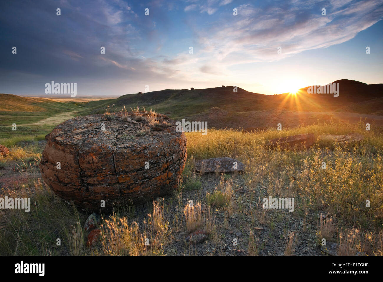 Sandstein-Konkretionen in Red Rock Coulee Naturraum, Alberta, Kanada Stockfoto