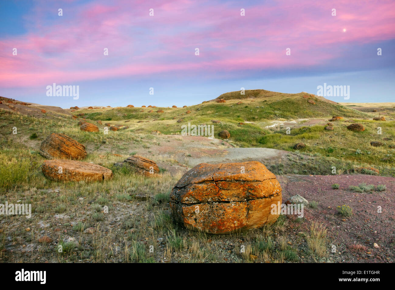 Sandstein-Konkretionen in Red Rock Coulee Naturraum, Alberta, Kanada Stockfoto