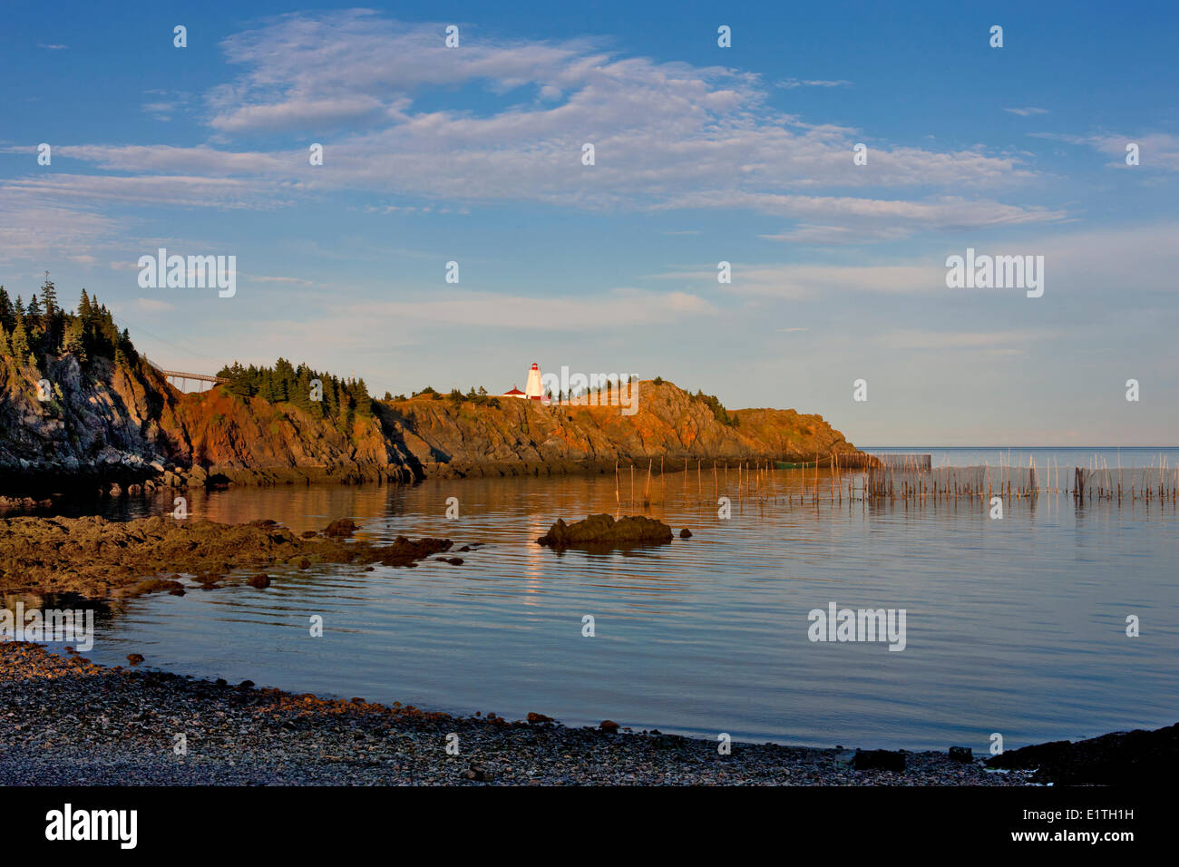 Wehr net vor Schwalbenschwanz Leuchtturm, Grand Manan Island Bay Of Fundy, New Brunswick, Kanada Stockfoto
