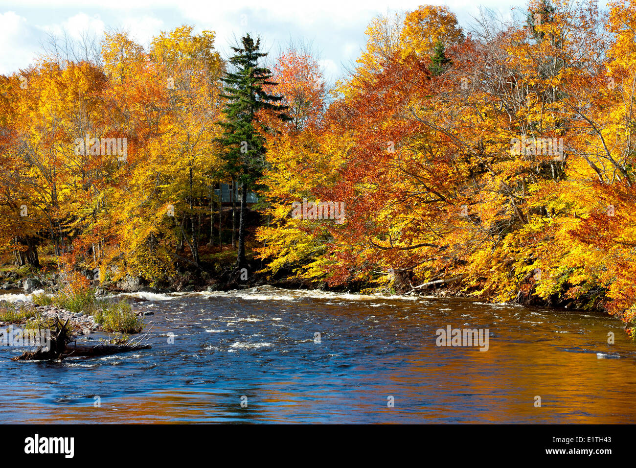 Margaree River im Herbst, Cape Breton, Nova Scotia, Kanada Stockfoto