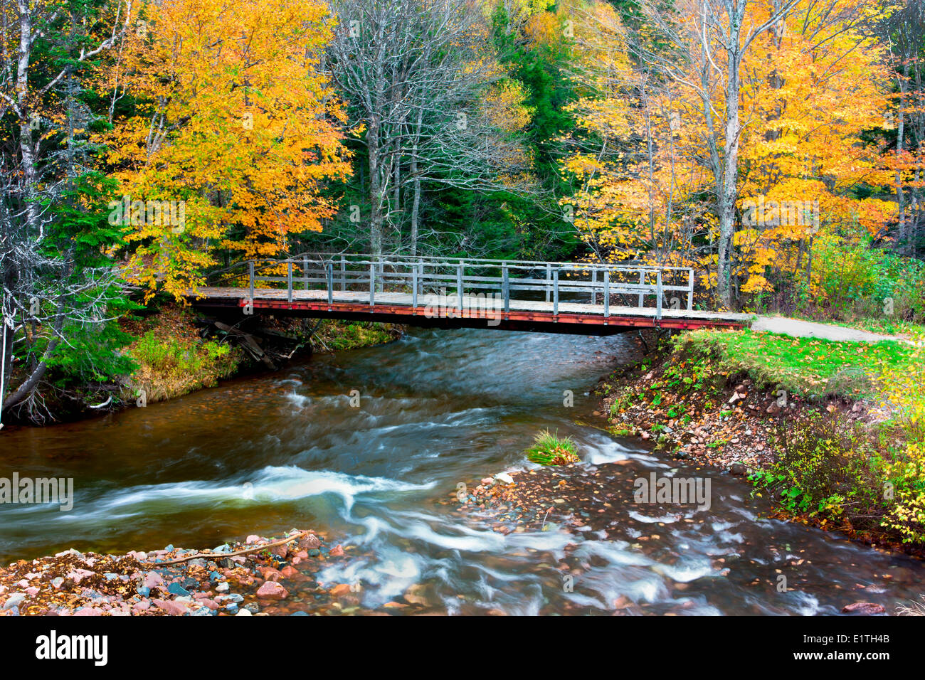 Wentworth Fluss im Herbst, Wentworth Tal, Nova Scotia, Kanada Stockfoto