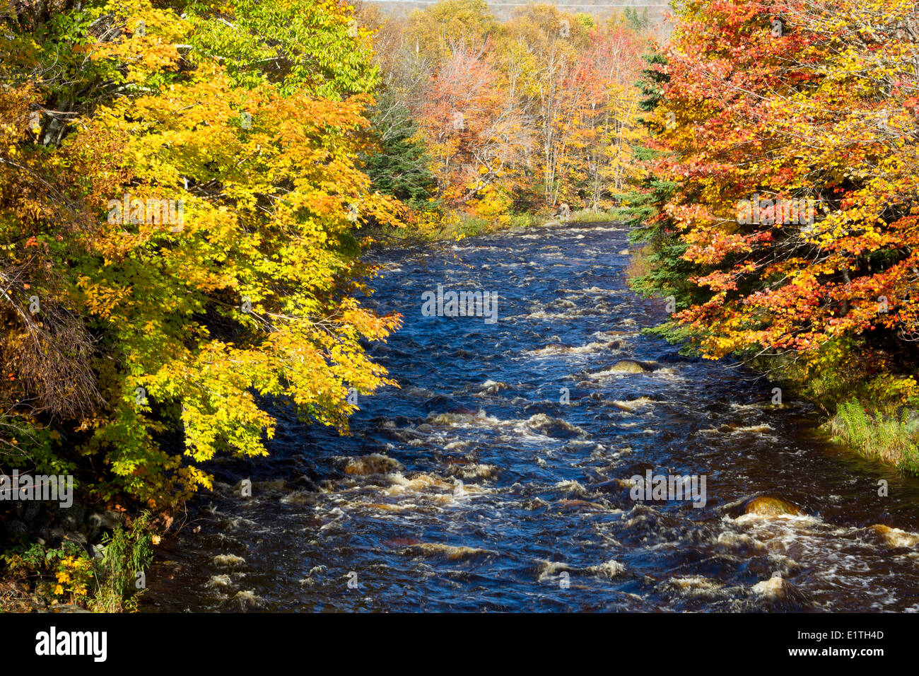 Humes River, Bucklaw, Cape Breton, Nova Scotia, Kanada Stockfoto