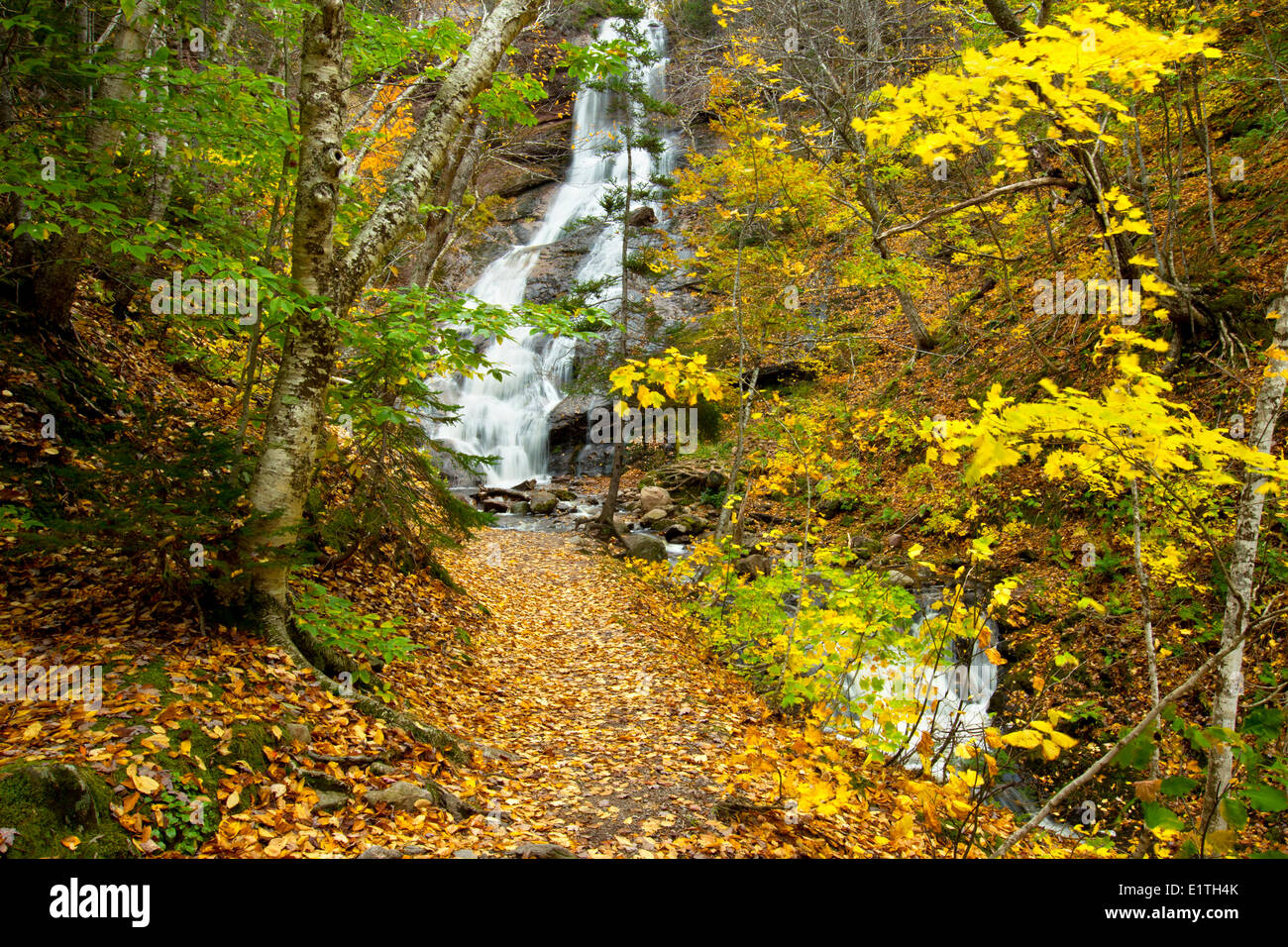 Beulach Ban fällt, Cape Breton Highlands National Park, Cape Breton, Nova Scotia, Kanada Stockfoto