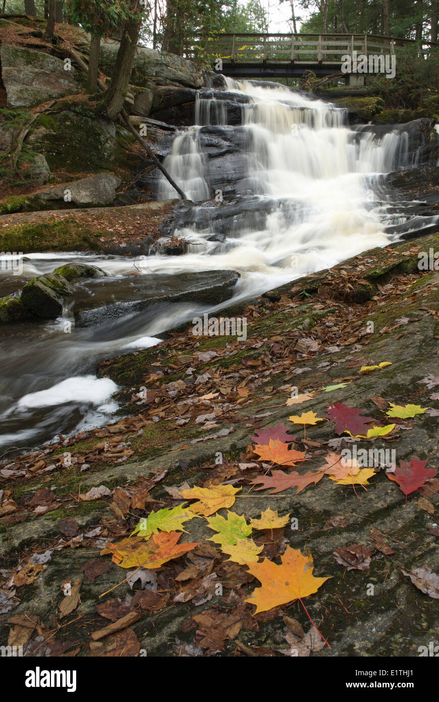 Kleine High Falls, Bracebridge, Muskoka, Ontario Stockfoto