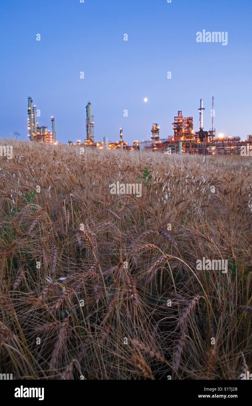 Bio-Kraftstoff-Raffinerie, Edmonton, Alberta, Kanada. Stockfoto