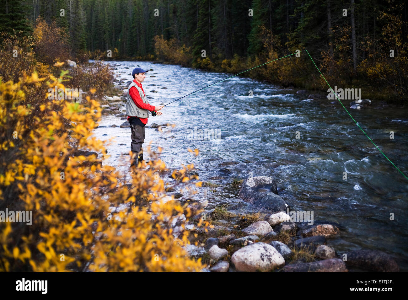 Mann mittleren Alters Fliegenfischen im Fluss, Jasper Nationalpark, Alberta, Kanada. Stockfoto