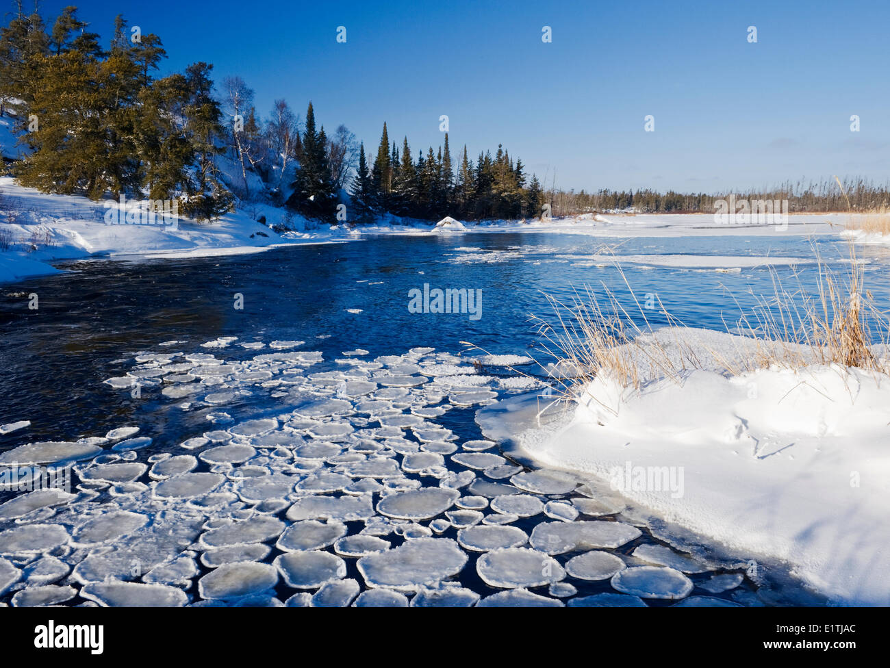 Pan-Eis entlang des Flusses Nutimik, Whiteshell Provincial Park, Manitoba, Kanada Stockfoto