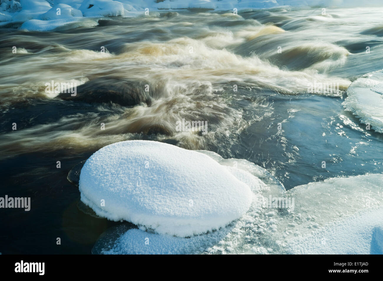 Winter im Fluss Whiteshell Whiteshell Provincial Park, Manitoba, Kanada Stockfoto
