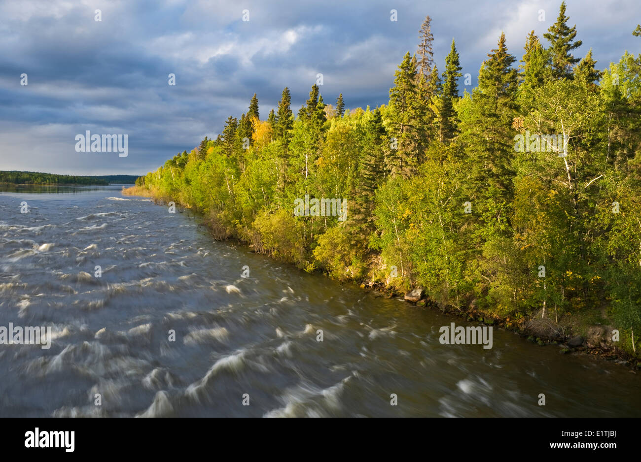 Otter Rapids entlang des Churchill River, nördlichen Saskatchewan, Kanada Stockfoto
