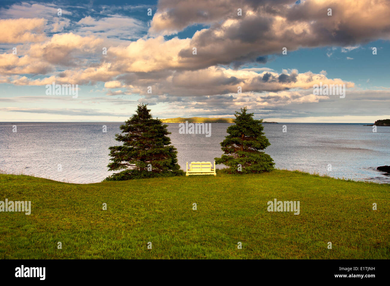 Ansicht der Möweninsel, Witless Bay Naturreservat von Witless Bay, Neufundland, Kanada Stockfoto