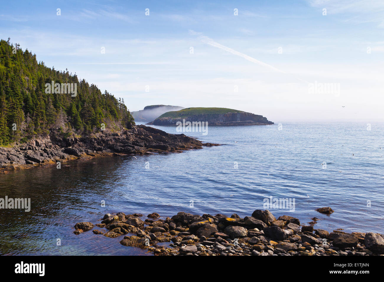 Ship Island, geistloser Bucht ökologische Reserve, Neufundland, Kanada Stockfoto
