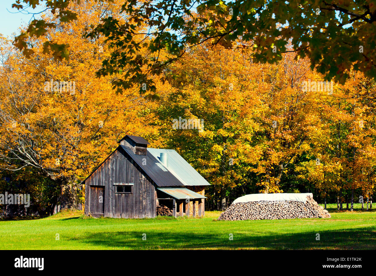 Sugar Shack und Holzstapel, Saint-Aubert, Quebec, Kanada Stockfoto