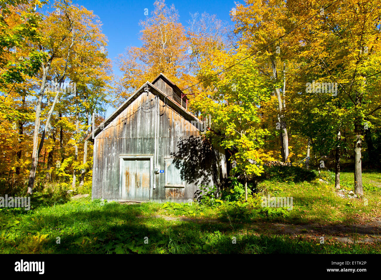 Herbstlaub und Zuckerahorn Shack, Saint-Louis, Quebec, Kanada Stockfoto