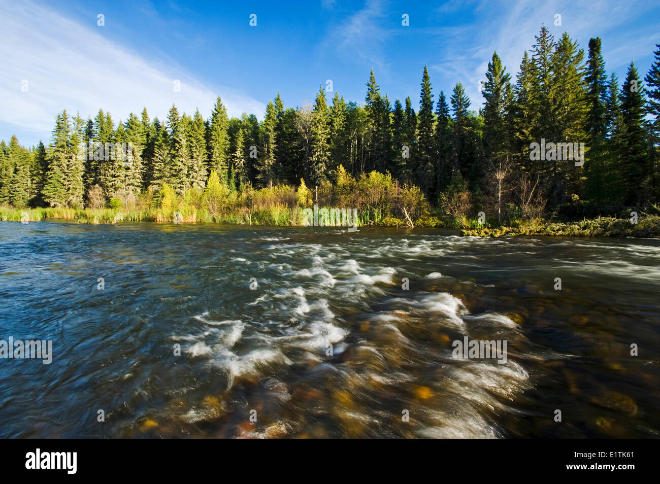 Waskesiu River, Prince Albert National Park, Saskatchewan, Kanada Stockfoto