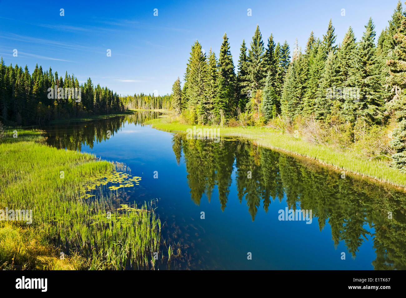 Waskesiu River, Prince Albert National Park, Saskatchewan, Kanada Stockfoto