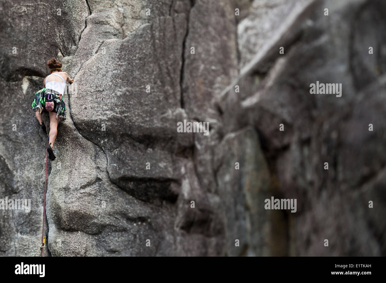 Eine Frau knacken Klettern Moskito 5.8, Squamish, BC Stockfoto