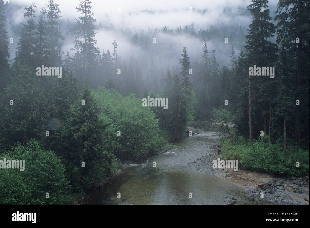 Natatlatch River, Boston Bar Bereich, BC, Kanada Stockfoto