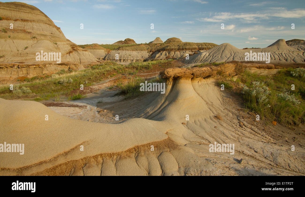 Dinosaur Provincial Park, Ödland, Alberta, Kanada Stockfoto