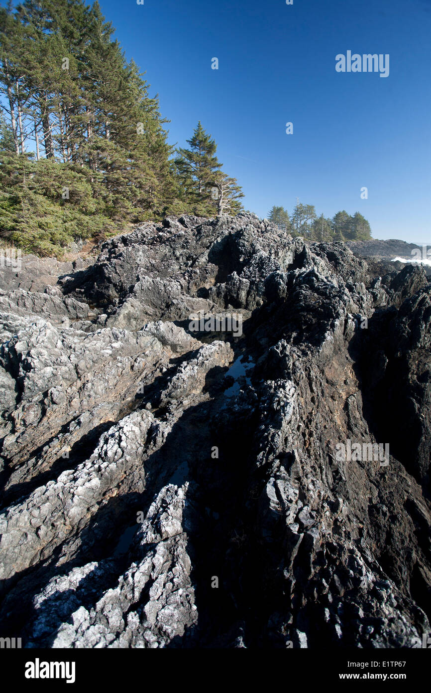 Long Beach, Tofino, Vancouver Island, BC, Kanada Stockfoto