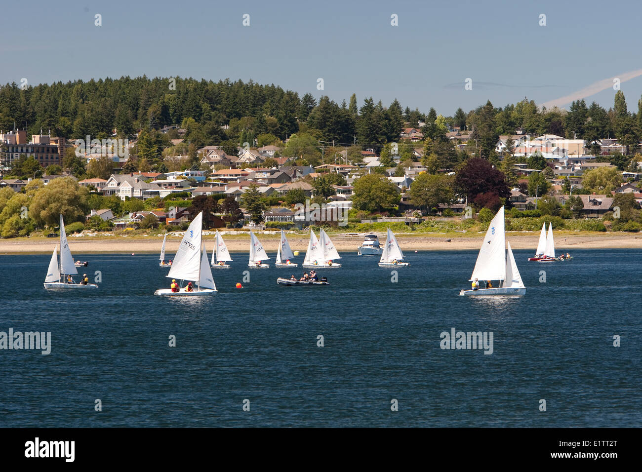 Eine lokale Segelschule braucht, um den Wind in Comox Bay.  Comox, Comox Valley, Vancouver Island, British Columbia, Kanada. Stockfoto