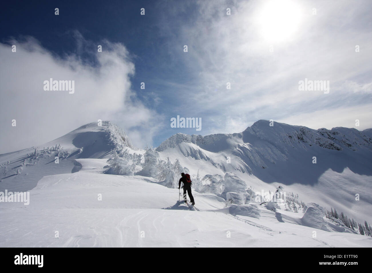 Backcountry Skifahrer, in der Nähe von Wildwasser Ski Resort, BC, Kanada Stockfoto